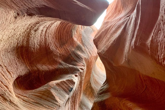 East Zion 4 Hour Slot Canyon Canyoneering UTV Tour - What hiking and steep terrain really means on this tour