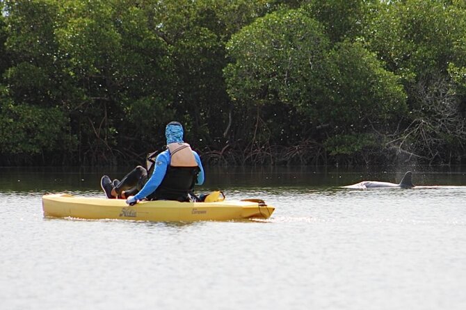 Easy Ride Pedal Kayak Tour Marco Island & Naples (Pedal or Paddle - Naples launch point: finding Capri Paddlecraft Park and feeling ready