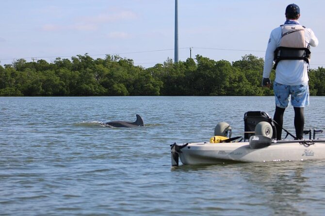 Easy Ride Pedal Kayak Tour Marco Island & Naples (Pedal or Paddle - Mangrove tunnels and Florida wildlife: what you’ll actually look for