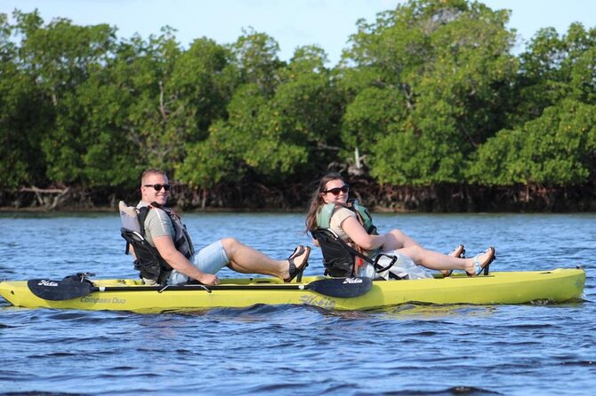 Easy Ride Pedal Kayak Tour Marco Island & Naples (Pedal or Paddle - Gear basics that make this tour easier than most kayaking