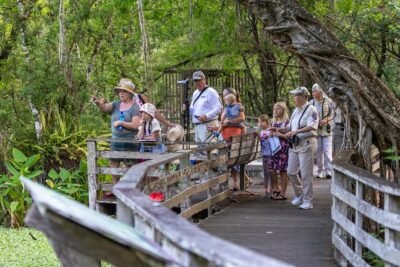 Everglades Airboat Adventure with Hotel Transport from Miami - Key Points to Know Before You Go