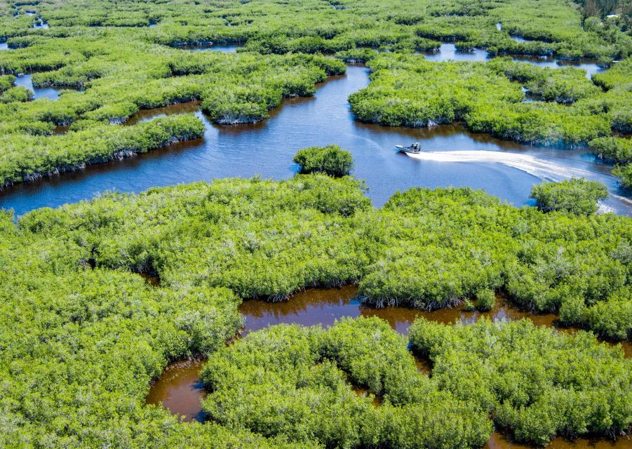 Everglades: Mangrove Maze Airboat Tour and Boardwalk - Getting started at Jungle Erv’s: where the day kicks off
