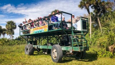 Everglades: Mangrove Maze Airboat Tour and Boardwalk - On the airboat: fast or slow through mangrove channels