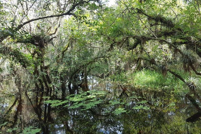 Everglades National Park Biologist Led Adventure: Cruise, Hike + Airboat - Why This Everglades Biologist Day Feels Like More Than a Checklist