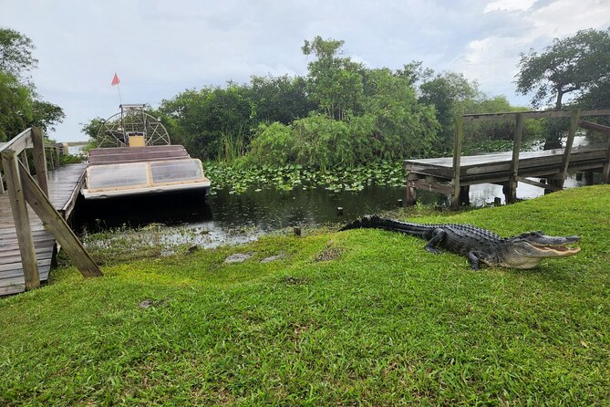 Everglades National Park Biologist Led Adventure: Cruise, Hike + Airboat - Oasis Visitor Center: Quick Stop, Big Alligator Odds
