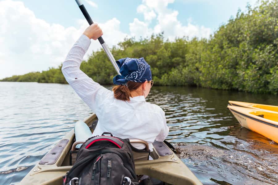 Everglades National Park: Mangrove Tunnel Kayak Eco-Tour - Mangrove Tunnels in Everglades National Park: what the paddle feels like