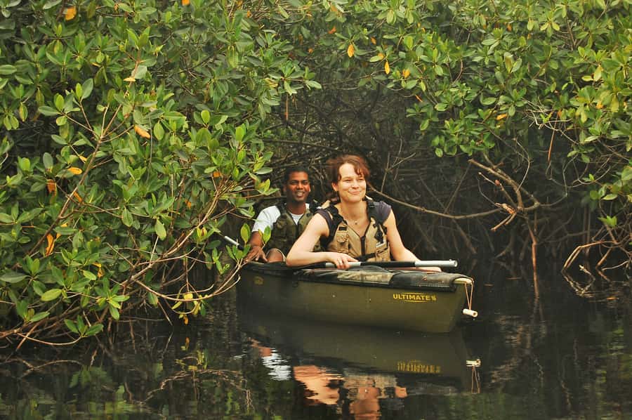 Everglades National Park: Mangrove Tunnel Kayak Eco-Tour - Your 3-hour flow: from 32016 Tamiami Trail E into the mangrove arches