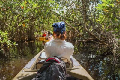 Everglades National Park: Mangrove Tunnel Kayak Eco-Tour - The guides: how names like Chris, Guy, Don, and Carter change the whole experience