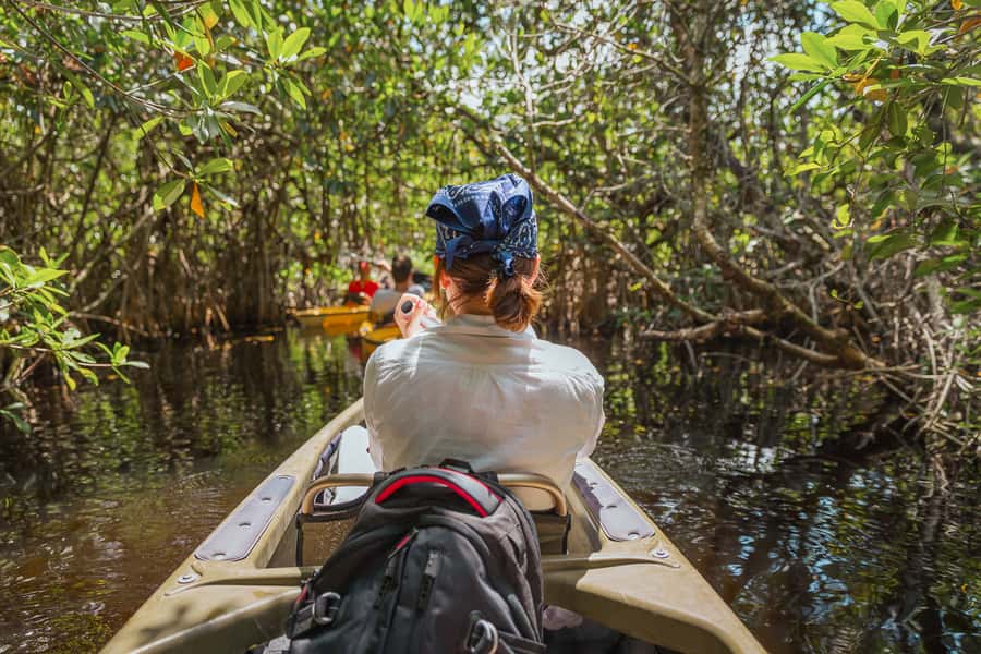 Everglades National Park: Mangrove Tunnel Kayak Eco-Tour - The guides: how names like Chris, Guy, Don, and Carter change the whole experience