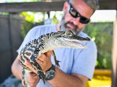Everglades: Sawgrass Park Day Time Airboat Tour & Exhibits - The airboat ride at Sawgrass: what the 40 minutes feels like