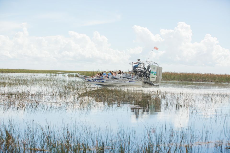 Everglades: Sawgrass Park Day Time Airboat Tour & Exhibits - After the boat: the alligator and reptile exhibit stop