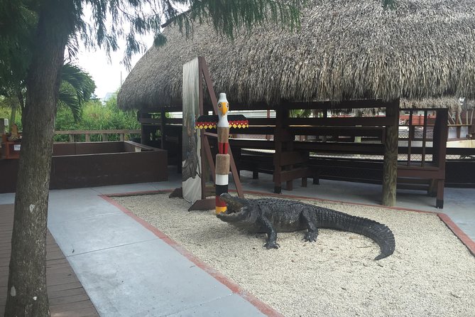 Everglades Small-Group Tour from Miami with Transportation - The Ride Comfort: Black Sprinter Van + Live Commentary