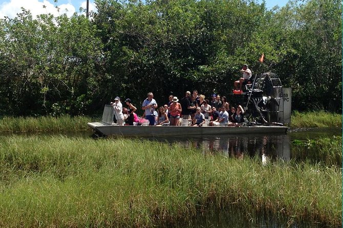 Everglades Small-Group Tour from Miami with Transportation - The Price Question: Is $82.98 Good Value?