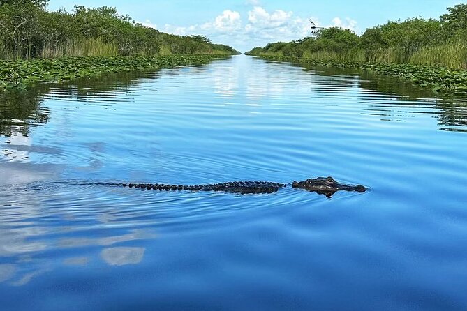 Everglades Small-Group Tour from Miami with Transportation - Quick Booking Decision: Should You Go?