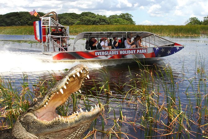 Everglades VIP Airboat Tour with Transportation Included - Comfort, noise, and what to wear for an airboat ride
