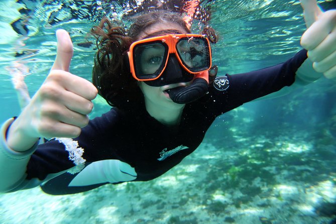 Exclusive Small Group VIP Heated Manatee Snorkel Tour - Guides, captains, and the vibe of a small team