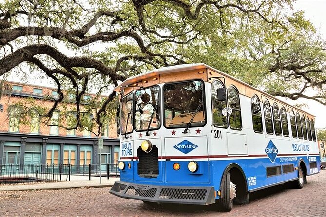 Explore Savannah Sightseeing Trolley Tour with Bonus Unlimited Shuttle Service - River Street Ballast Stones and Why You’ll Want to Walk Back