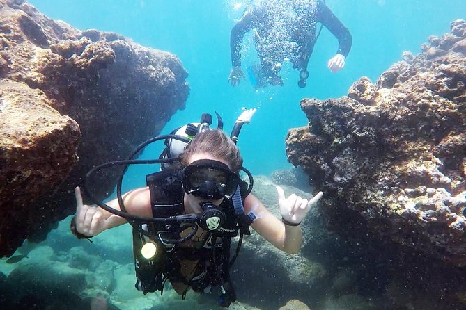 First-Time Scuba Diving in Honolulu + Free Videos - First Step Into Honolulu’s Calm Water: What This Scuba Lesson Really Feels Like