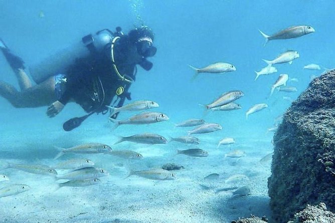 First-Time Scuba Diving in Honolulu + Free Videos - Meet at Magic Island Lagoon: How the Gear-Up Works