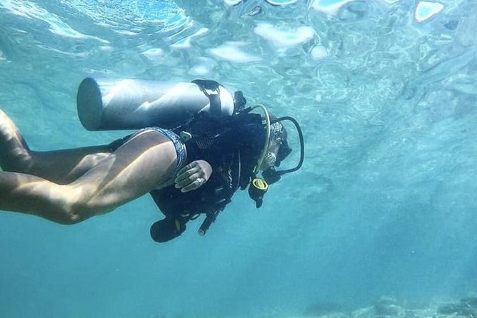 First-Time Scuba Diving in Honolulu + Free Videos - Who Should Book, and Who Should Rethink It