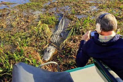 Florida Everglades Airboat Tour and Wild Florida Admission with Optional Lunch - What Makes the Wetlands Interesting (Besides the Gators)
