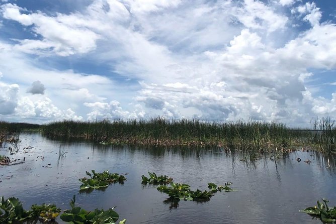 Florida Everglades Airboat Tour and Wild Florida Admission with Optional Lunch - How the Optional BBQ Lunch Upgrade Changes the Day