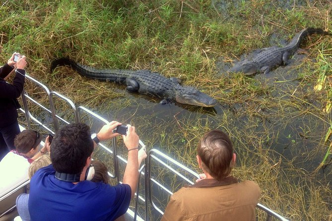 Florida Everglades Airboat Tour and Wild Florida Admission with Optional Lunch - Size, Pace, and Who This Works Best For