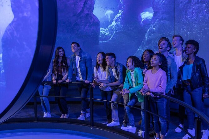 Flyover in Las Vegas: An Immersive Flying Ride Experience - Inside the Experience Flow: From Hallway to Seatbelts