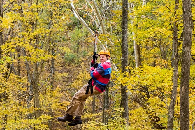 Fontanel Zipline Forest Adventure at Nashville North - Before you fly: how the course starts and why walking matters
