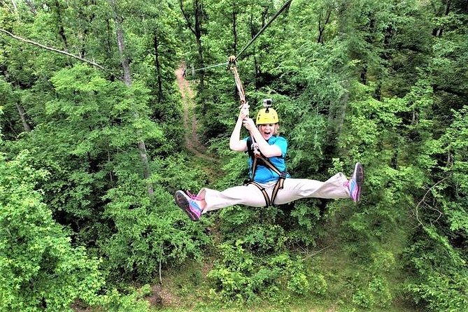 Fontanel Zipline Forest Adventure at Nashville North - Wildlife and plant commentary: what the guide adds to the views