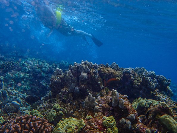 Four Winds Molokini Snorkeling Tour from Maalaea Harbor - First stop: Maalaea Harbor at 7:00am