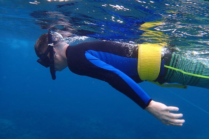 Four Winds Molokini Snorkeling Tour from Maalaea Harbor - The cruise out: Haleakalā views, island spotting, and a naturalist onboard