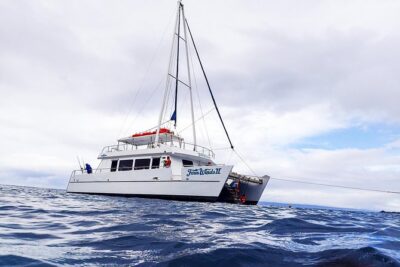 Four Winds Molokini Snorkeling Tour from Maalaea Harbor - Boarding the 55-foot Four Winds catamaran (and why it feels roomy)