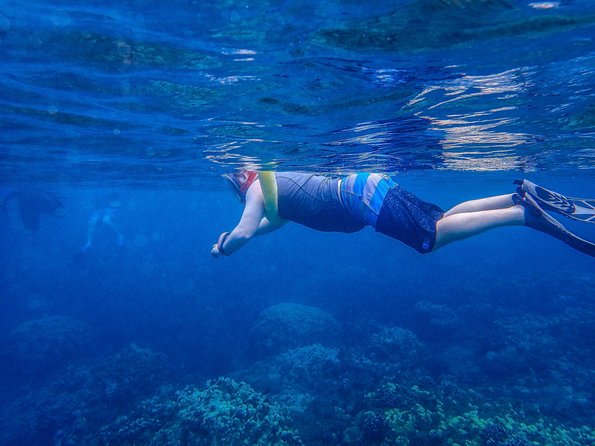 Four Winds Molokini Snorkeling Tour from Maalaea Harbor - Molokini Crater: snorkel instruction, clear water, and what you’ll actually see