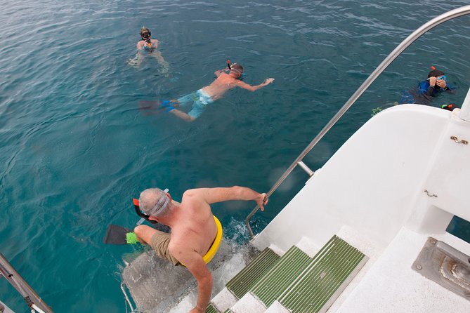 Four Winds Molokini Snorkeling Tour from Maalaea Harbor - Non-snorkelers get value too: glass-bottom hull + sea boards