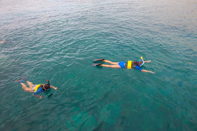 Four Winds Molokini Snorkeling Tour from Maalaea Harbor - Gear you won’t have to rent separately (but plan what to bring)