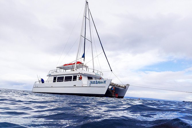 Four Winds Molokini Snorkeling Tour from Maalaea Harbor - Boarding the 55-foot Four Winds catamaran (and why it feels roomy)