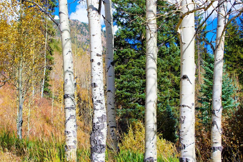 From Denver: Red Rocks, Evergreen, and Echo Lake Tour - A Half-Day Loop: From Denver to Red Rocks, Evergreen, and 10,600-Foot Echo Lake