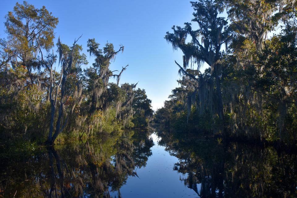 From Lafitte: Swamp Tours South of New Orleans by Airboat - Weather and delays: what to expect when the bayou throws a curveball