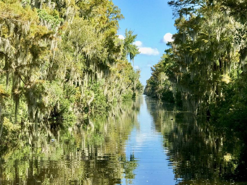 From Lafitte: Swamp Tours South of New Orleans by Airboat - Price and value: is the $59 ticket actually a bargain?