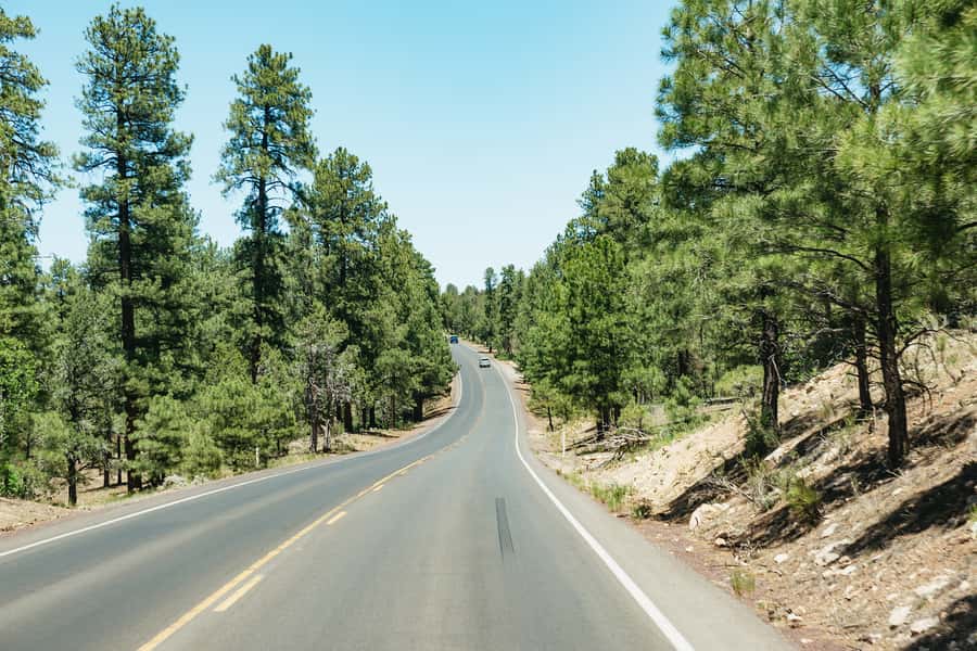 From Las Vegas: Grand Canyon South Rim Day Trip - What to Pack for the South Rim Stops