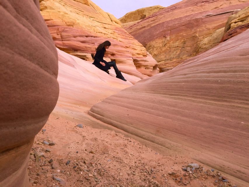 From Las Vegas: Valley of Fire State Park Tour - Petrified trees and petroglyphs: what to watch for in the 4,000-year-old sites