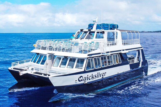 From Maalaea: Whale Watching Tour Aboard the Quicksilver - Key Points That Matter Before You Board