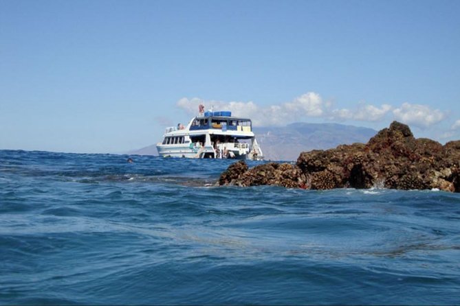 From Maalaea: Whale Watching Tour Aboard the Quicksilver - Who Should Book This Whale Watch (and Who Might Want Another Option)