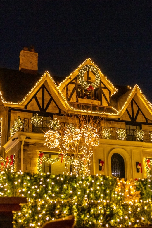 From Manhattan: 4-Hour Dyker Heights Holiday Lights Bus Tour - Brooklyn Bridge Park at night: DUMBO skyline photos you’ll use all year