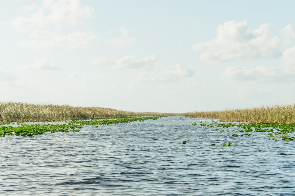 From Miami: Everglades Airboat, Wildlife Show & Bus Transfer - Time management tips: when the schedule can feel tight