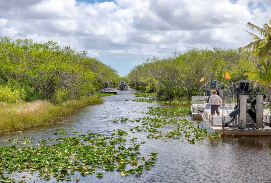 From Miami: Everglades Wildlife Show, Airboat & Bus Transfer - Who this tour fits best (and who might want another plan)