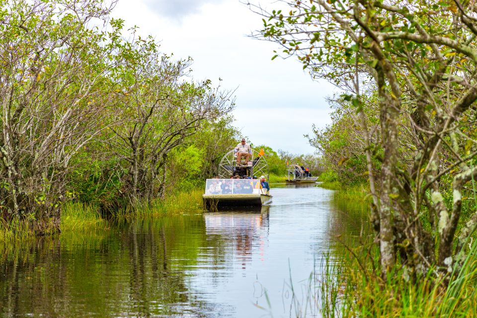 From Miami: Everglades Wildlife Show, Airboat & Bus Transfer - What to wear and bring for Everglades wind and speed