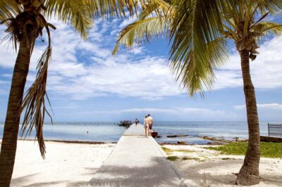 From Miami: Key West Day Tour by Motor Coach Bus - Getting dropped into Key West: use your free hours wisely