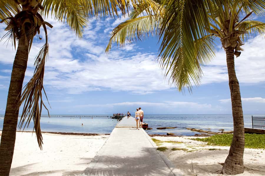 From Miami: Key West Day Tour by Motor Coach Bus - Getting dropped into Key West: use your free hours wisely
